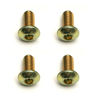 AS3934 Team Associated Screws, 3mm BHSS